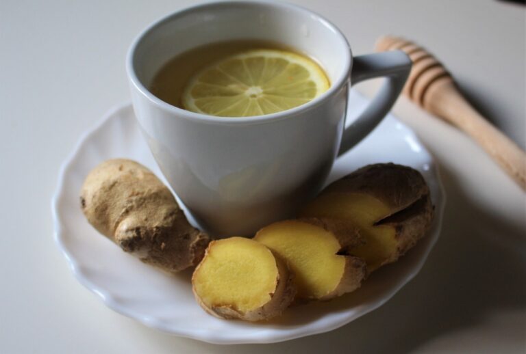 what herbs detox the body