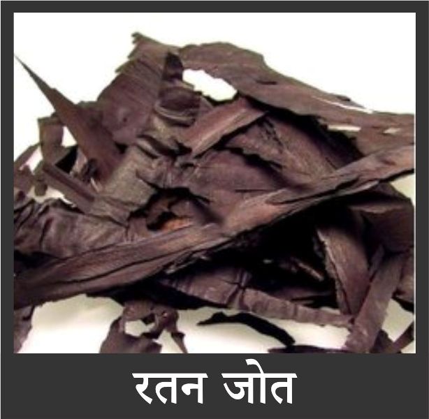 कान में दर्द के घरेलू उपाय | Home Remedies for Ear Pain in Hindi