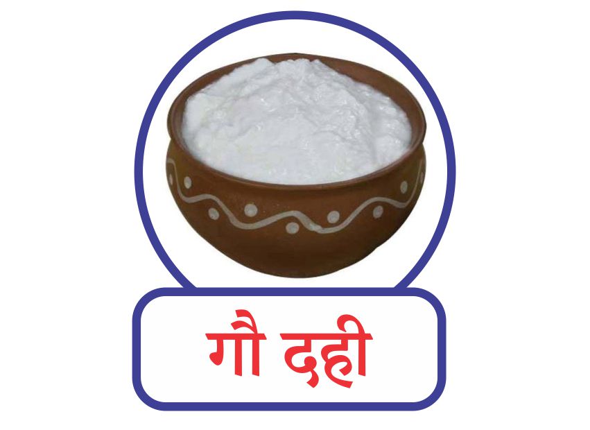 गाय के दही के फायदे