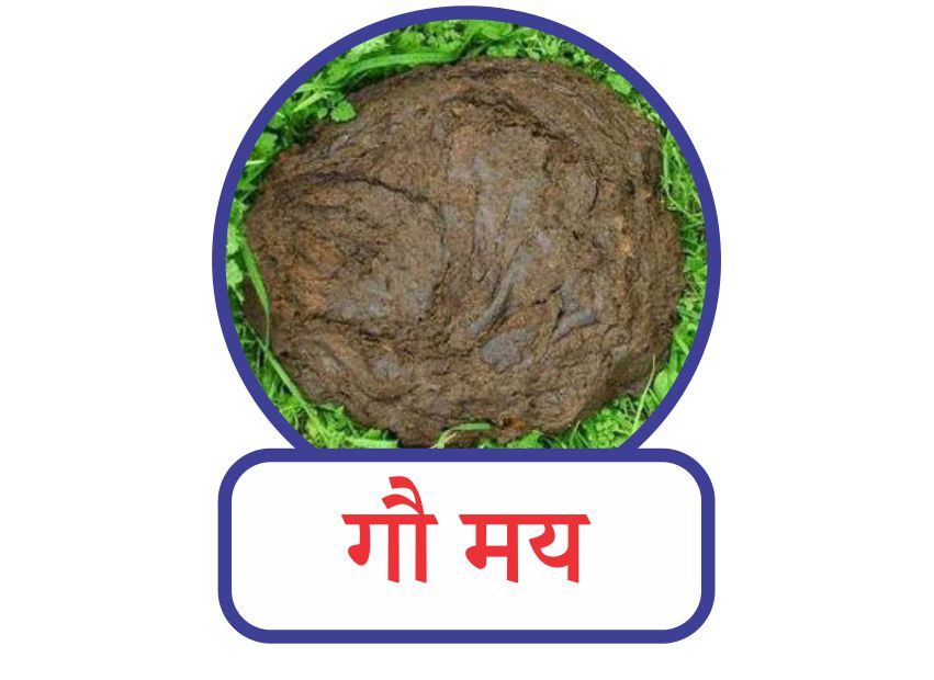 गाय के गोबर के फायदे