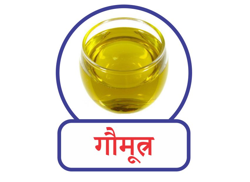 गौ मूत्र के फायदे