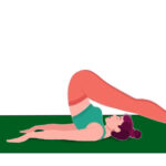 halasana हलासन