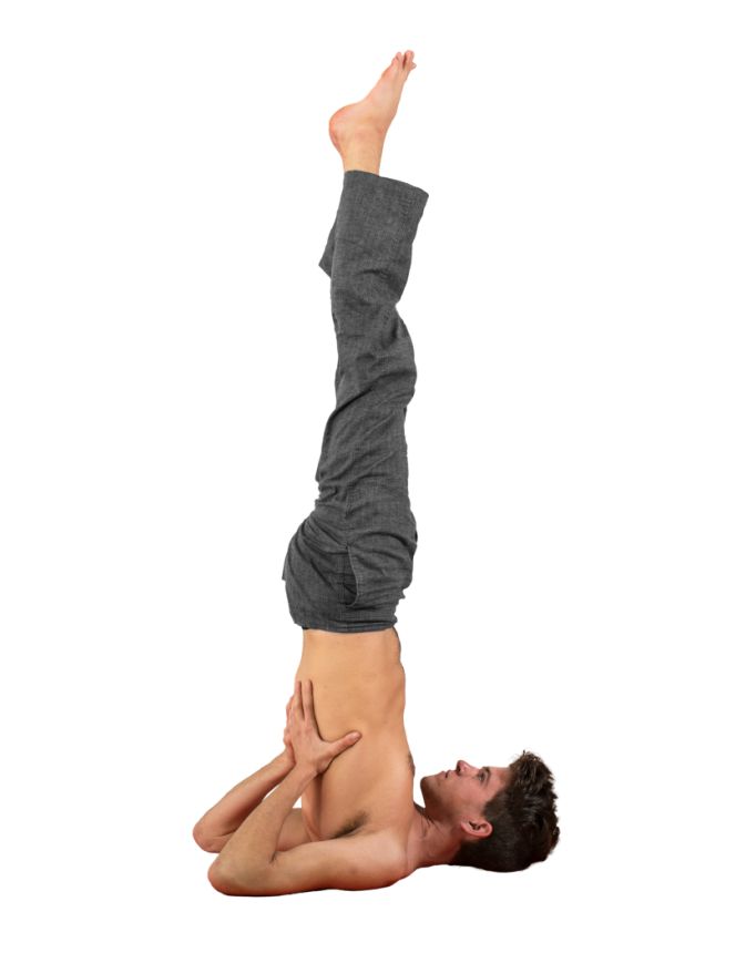 सर्वांगासन sarvangasana