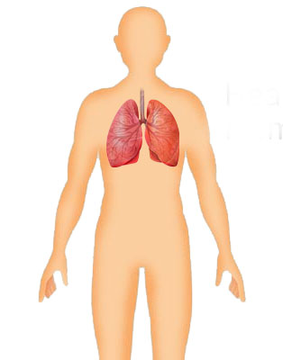 अस्थमा का कारण, लक्षण और अस्थमा का इलाज