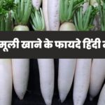 Mooli Ke Fayde In Hindi