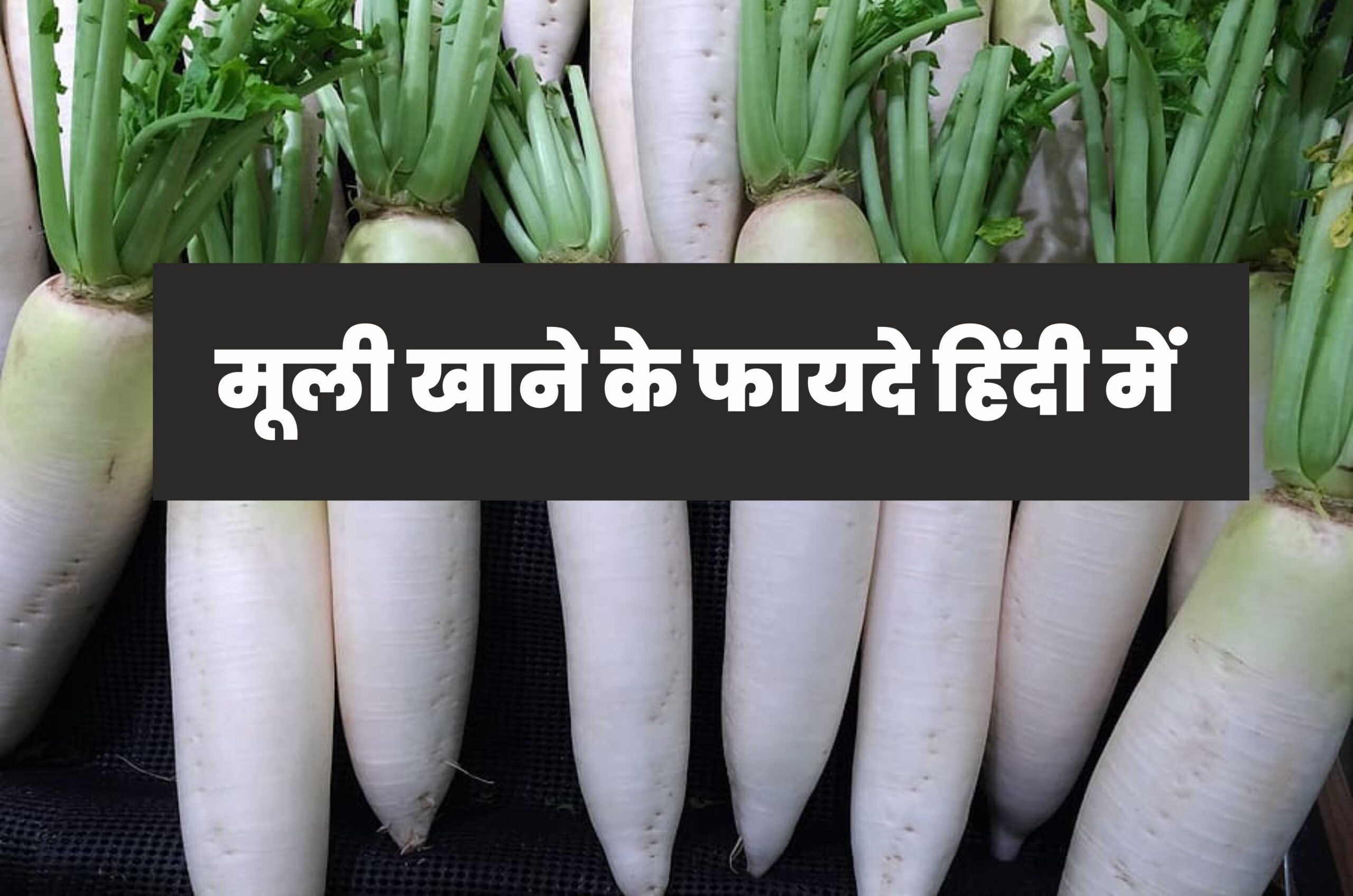 मूली खाने के फायदे हिंदी में | Mooli Ke Fayde In Hindi Mooli Ke Fayde In Hindi
